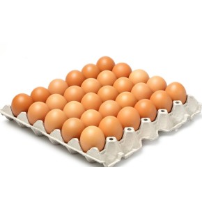 Docena de Huevos de Codorniz 12 UND | Cash Borosa